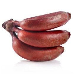 Banana Roja