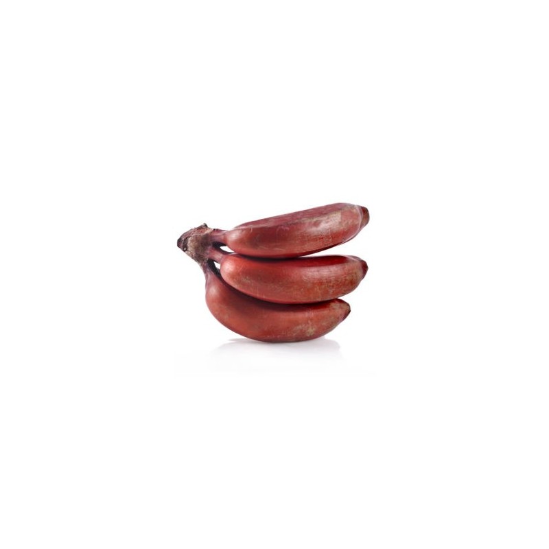 Banana Roja Banana Roja
