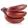 Banana Roja