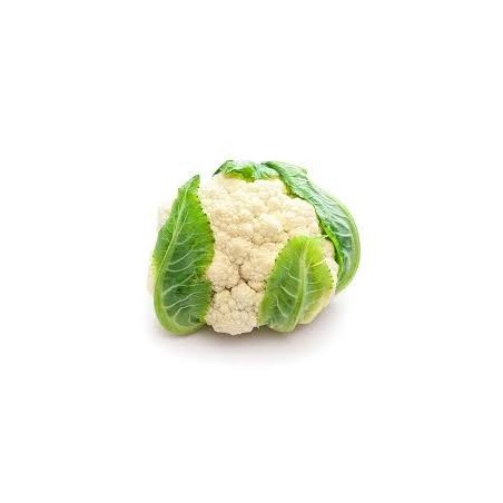 Coliflor