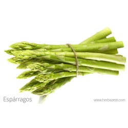 Esparrago verde