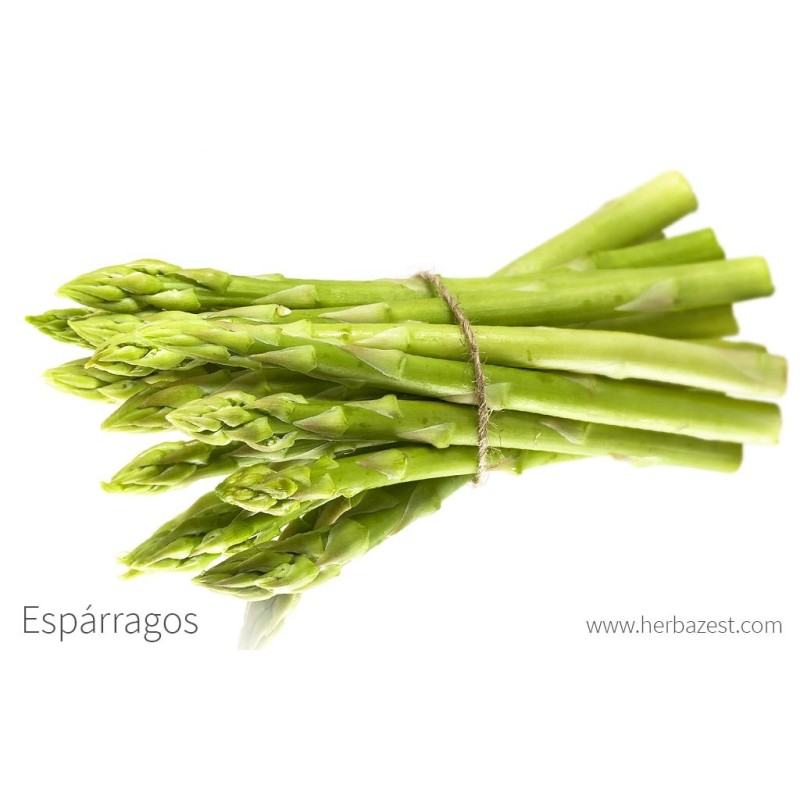 Esparrago verde Esparrago verde