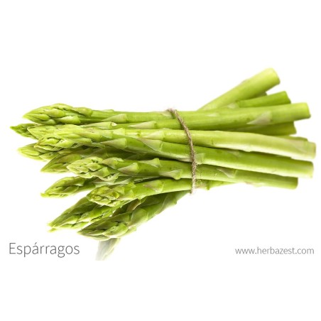 Esparrago verde