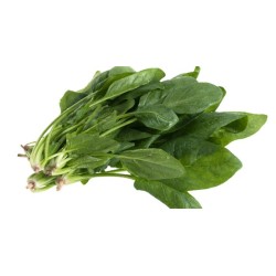 Espinacas