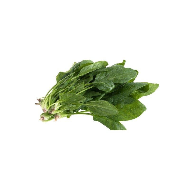 Espinacas Espinacas