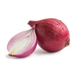 Cebolla Roja