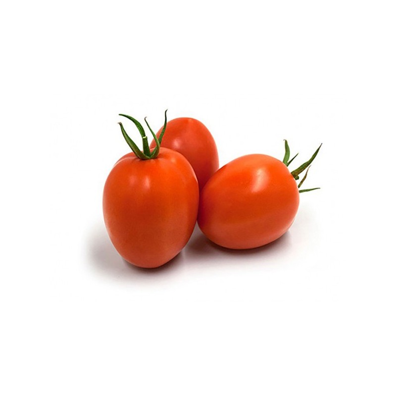 Tomate pera Tomate pera