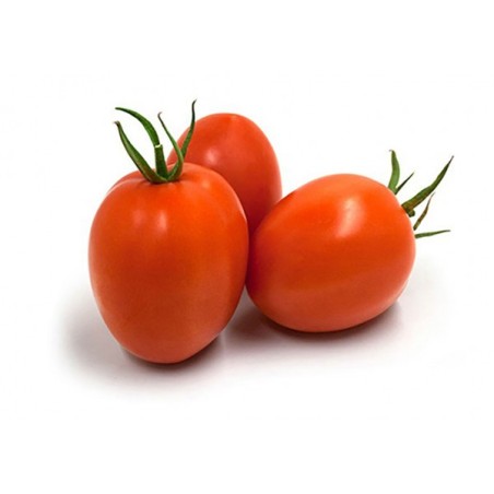 Tomate pera