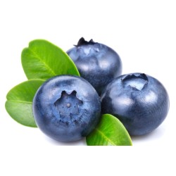 Arándano azul