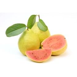 Guayaba